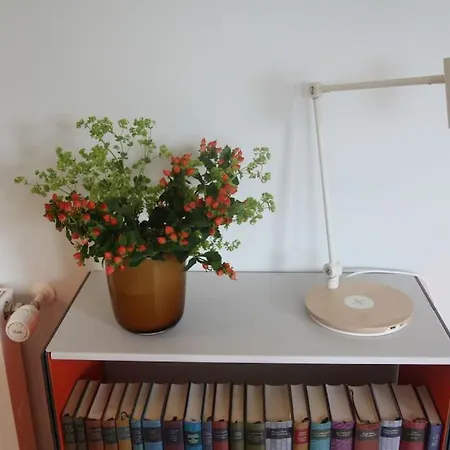Ruheoase Mit Bergblick Im Zentrum Murnaus Appartement *